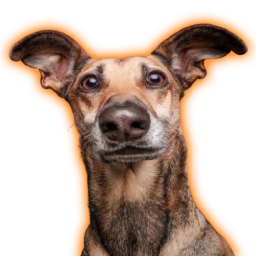 EdsonModz-SkibidiJester icon