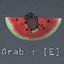Eidtnia-CarrysWatermelon-1.0.0 icon