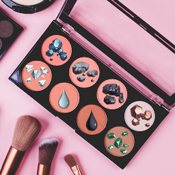 Eirshy-VeinityProject icon