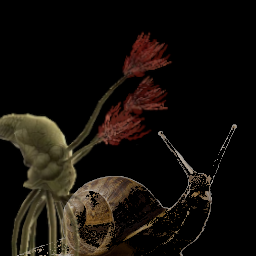 Eiterbrocken-FloodSnail icon