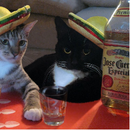 ElBarDeMods-El_Bar_De_Modpacks icon