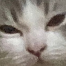 ElGato1-SoupModpack icon