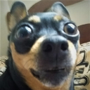 El_Raton-OverFun_Modpack icon