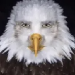 EnTerTaiN-ENTERTAINMENT icon