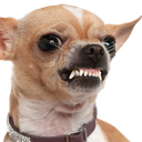 EnragedHusky-Tribe_ModPack icon