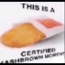 EstaCompany-EstaCompany icon