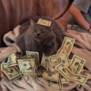 EvilCheetah-ScalingPrices icon