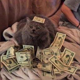 EvilCheetah-ScalingPrices icon