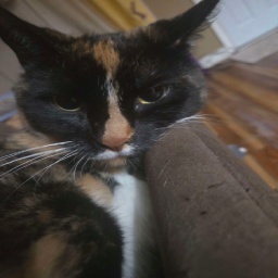 EvilDeerPark-The_Modpack_That_Kills_You icon