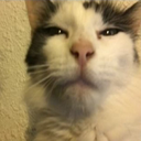 Evil_Ghoul-VPLUSPLUS icon