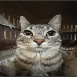 EvolutioSpelunky-EvolutioSuits icon