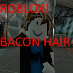 Evro-Roblox_Bacon_Hair icon