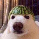 EwE-BestTestModpack icon