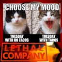 Ex0du5-TacoTuesdayShipIntro icon