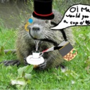 FAoA_Gang-G3r4ld_better_company icon