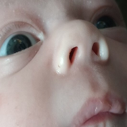 FBN-FBN_Mod_Pack icon