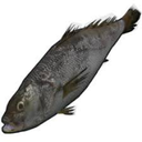 FFAnonymous-FFA_Meeting_Modpack icon