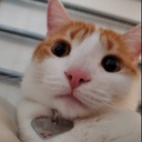 FRIDAY-FridaysModPack icon