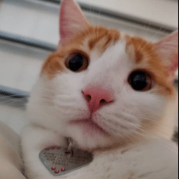 FRIDAY-FridaysModPack icon