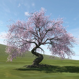 F_Fillet-Sakura_Tree icon