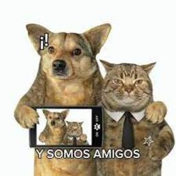 FabianPEKS-FriendlyModPack icon