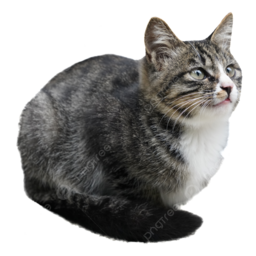 Family_Friendly_Weed-Amoebas icon