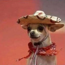 Family_Team-TheFamilyModpack icon