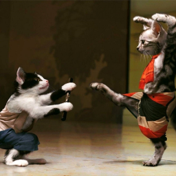 FanGuy-ASuperCoolROR2ModPack icon