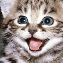 Fangsly-FANGSLYMOD icon