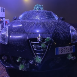 FastLife-FastLife icon