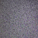 Fate6342-Analog_Horror_Speech_HaveMusic icon