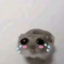 FeiLong-FeifeiModpack icon