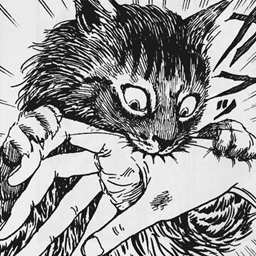 Feitan-Its_Womens_Month icon