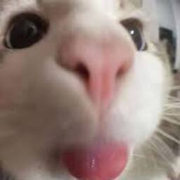 Fitz-Custom_ModPack icon