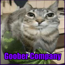 FizzyBombBand-Goober_Company icon