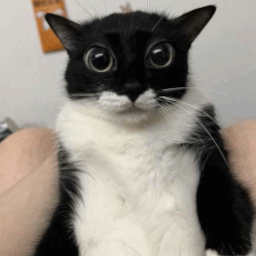 Fizzyman-RunInBackground icon