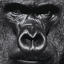 Flames_Gaming999-Flames_Flaming_Videos icon