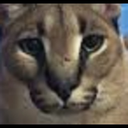 FloppyTeam-Floppas_Modpack icon