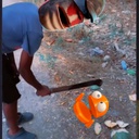 Focusin-MiBomboHuntsman icon