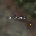 FoobyScroobs-TurnipSeedFinder icon