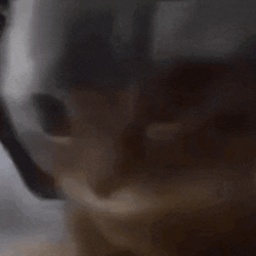 ForMePossible-CHIPIGAMING icon