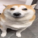 Foxanks-gromboplus icon