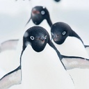 FraftedAndFriends-RialisuwModPackForFriends icon