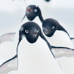 FraftedAndFriends-RialisuwModPackForFriends icon