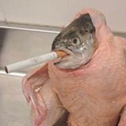 Frezs_G-RiskOfPapus icon