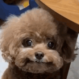 FridayNightCompany-Weekend_Night_Company icon