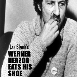 FriedRiceHero-AHerzogEventuallySpeaks icon