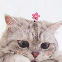 FrogPondGaming-Frog_Mod icon