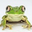FroggyPete-FroggyPackLite-1.0.0 icon