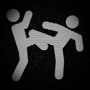 FrostyCirno-Parabellum icon